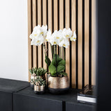 Maison Colibri | Pot Elite en cuivre - Ø12cm