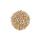 Le Gody Ball ravi - S