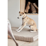 Collier pour chien Robin - Petit