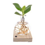 CLUSA au Samoa LED - Øxcm - ↕10cm