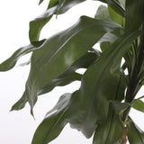 Plante artificielle Dracaena Vert