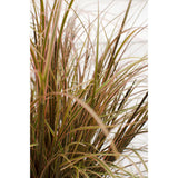 Inconnu rouge Everflame - Ø19cm - ↕40cm - Ø14 - ↨30cm