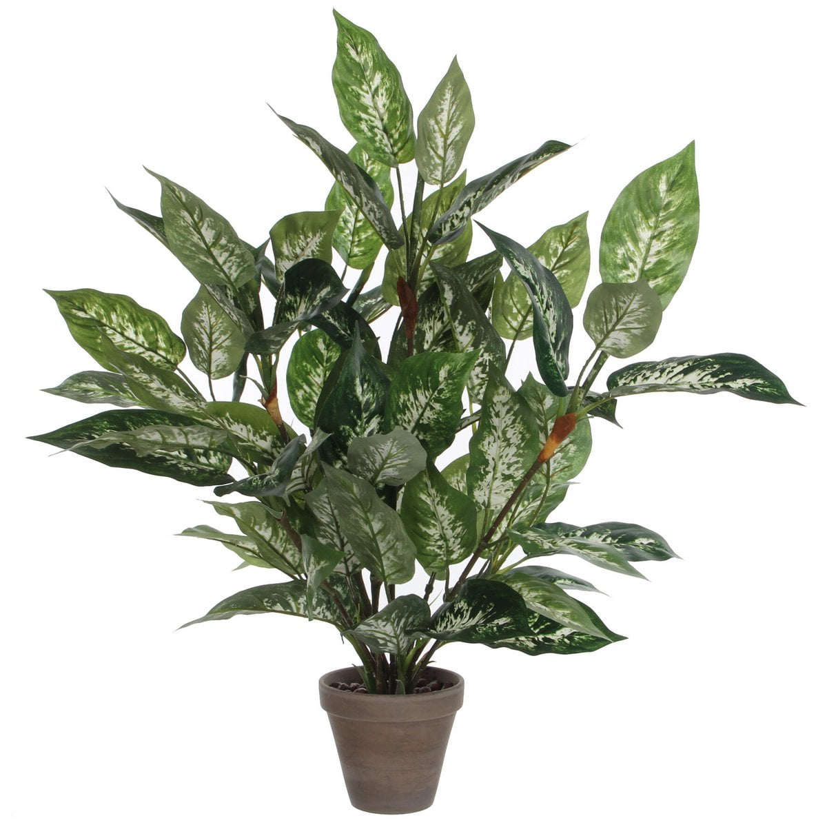 Plante artificielle Dieffenbachia avec feuilles colorées et pot en terre cuite