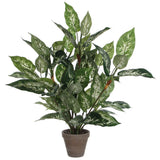 Plante artificielle Dieffenbachia avec feuilles colorées et pot en terre cuite