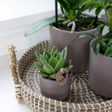 Maison Colibri | Bol décoratif - Plateau tressé blanc Ø30cm