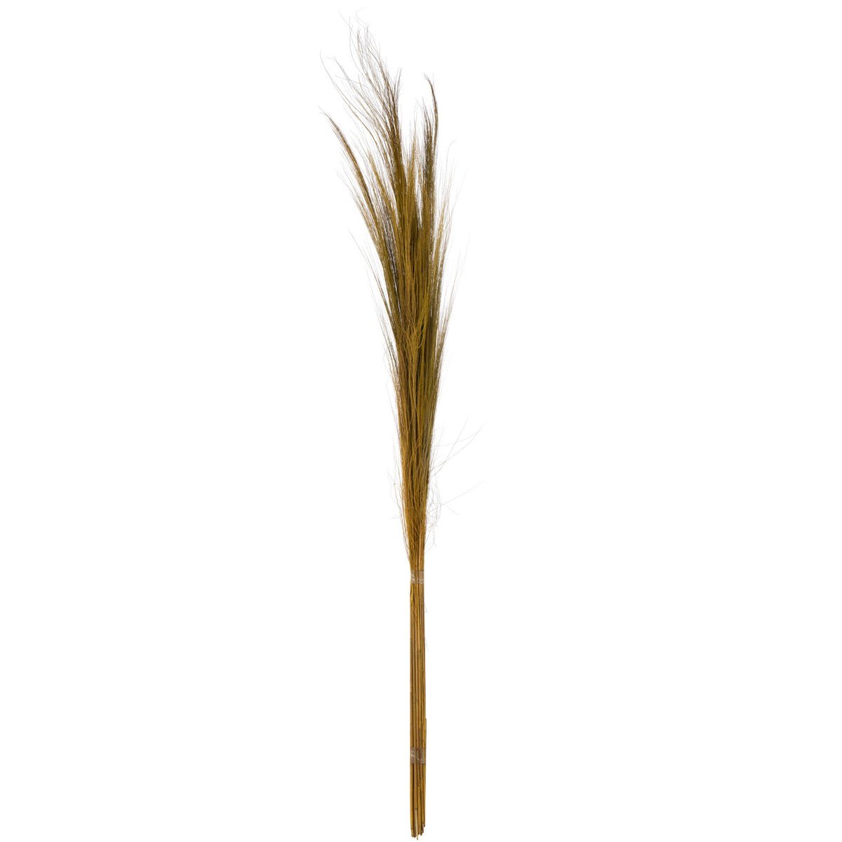 Détail des brins d'herbe jaune du bouquet J-Line