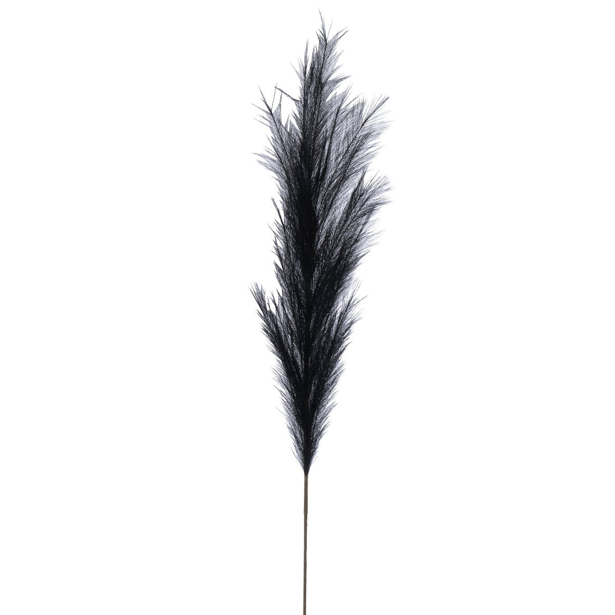 Branche décorative J-Line Plumeau noire, élégante et moderne, idéale pour un salon chic