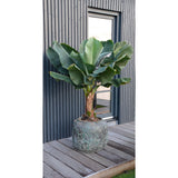 Plantenpot - Arenal Relic Jade