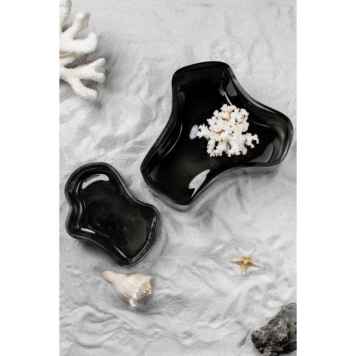 Image de diapositive