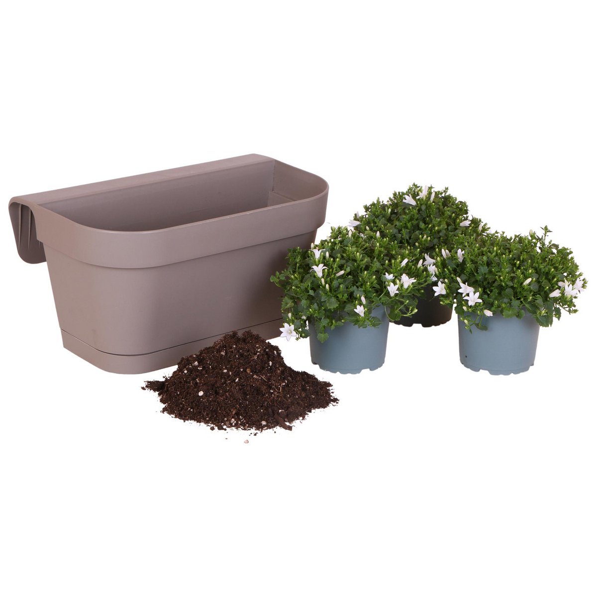 Bac de balcon taupe avec 3 campanules blanches pot Ø12 cm