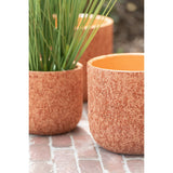 Vue rapprochée du pot de fleurs J-Line avec plante