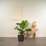 Plante artificielle Monstera Deliciosa 80 cm