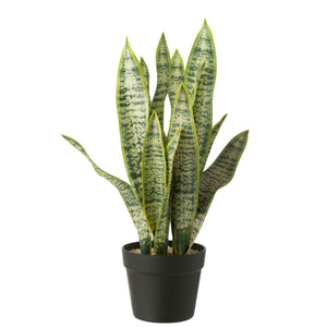 Dracaena trifasciata artificiel en pot J-Line - vert - grand