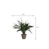 Plante artificielle Spathiphyllum Blanc