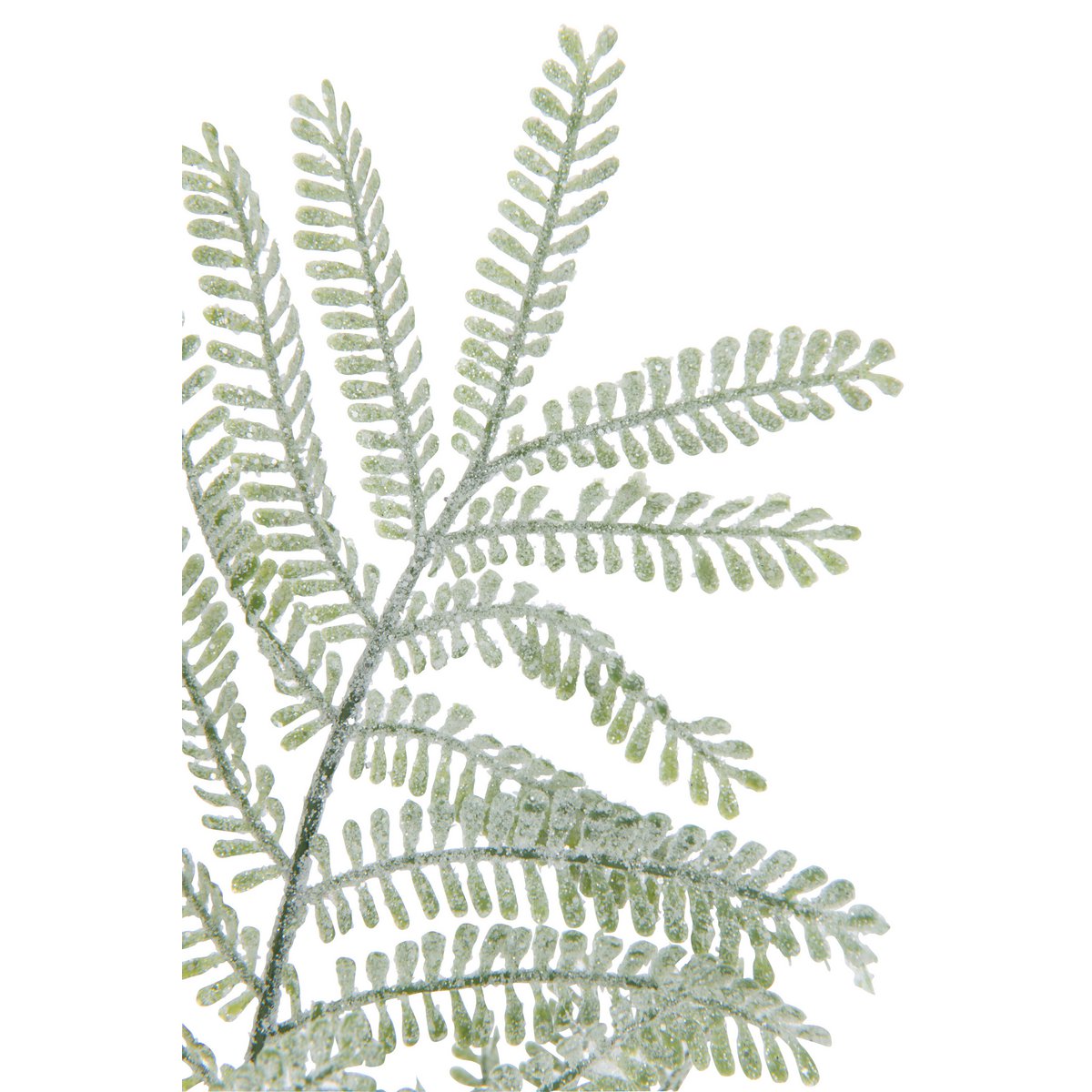 Détail de la branche Mimosa J-Line, ajout de nature à votre espace de vie.