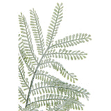 Détail de la branche Mimosa J-Line, ajout de nature à votre espace de vie.