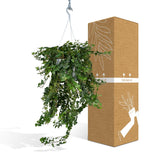 Suspension lierre Hedera vert Ø24 cm