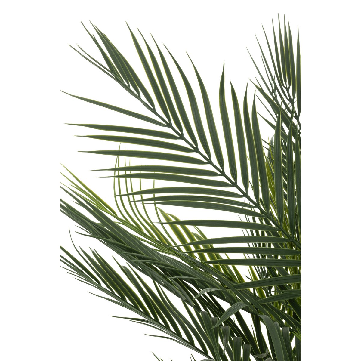 Palmier en pot artificiel vert J-Line avec feuillage luxuriant.
