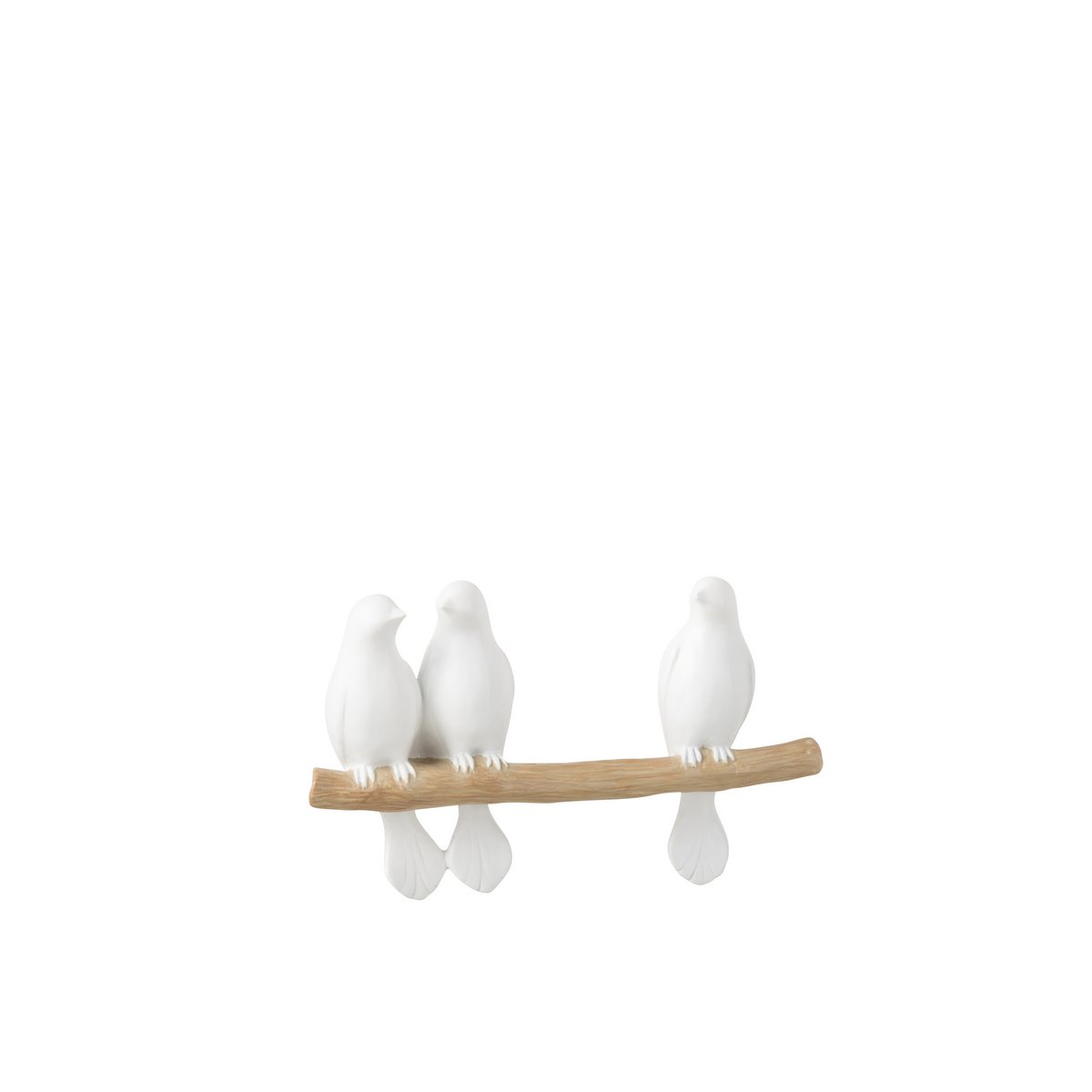 Image de diapositive
