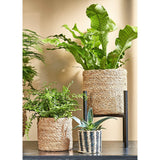 Support pour plantes Ascot Noir