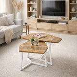 Lot de 2 tables basses (6 pièces) 1 table de salon palette structure métal Munich