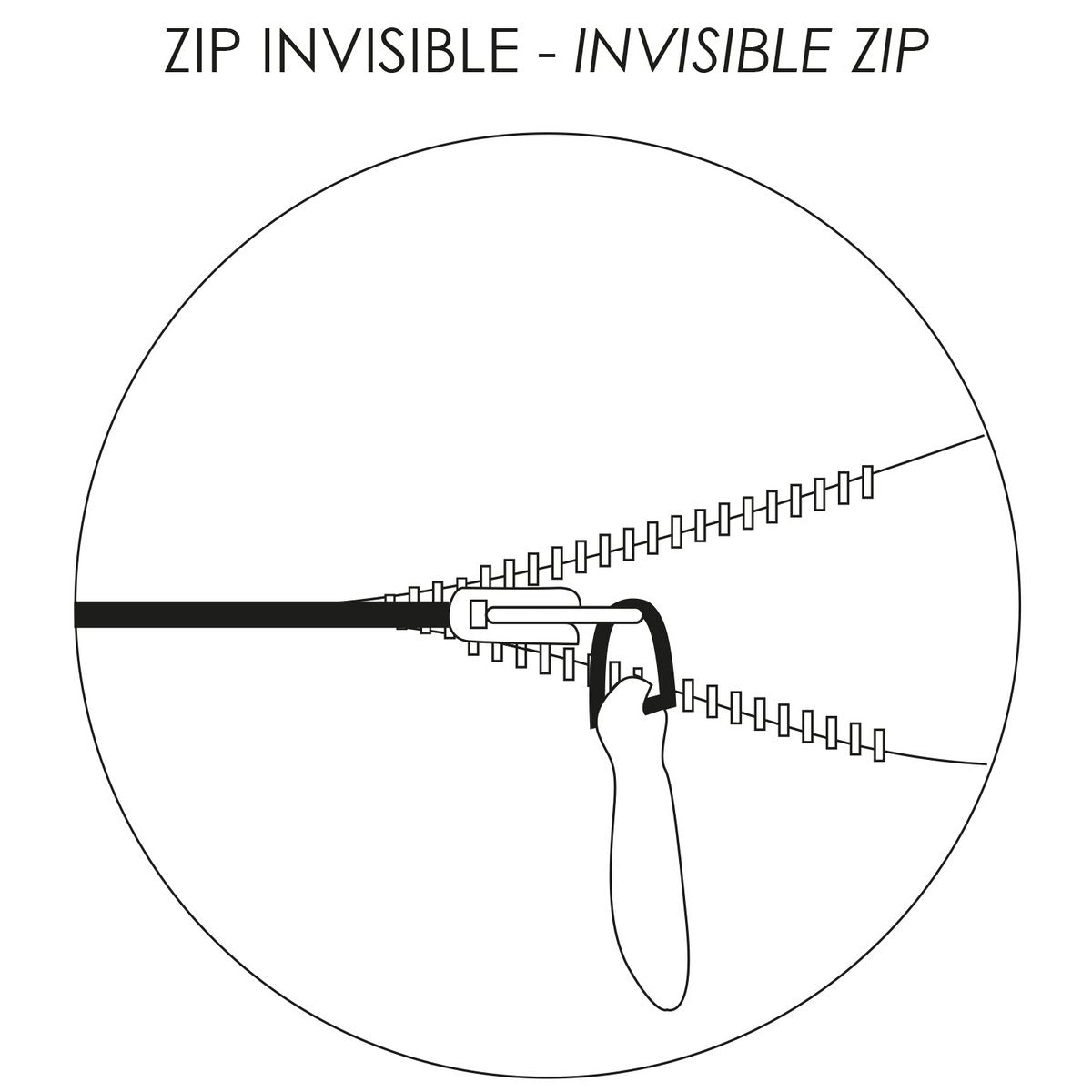 Image de diapositive