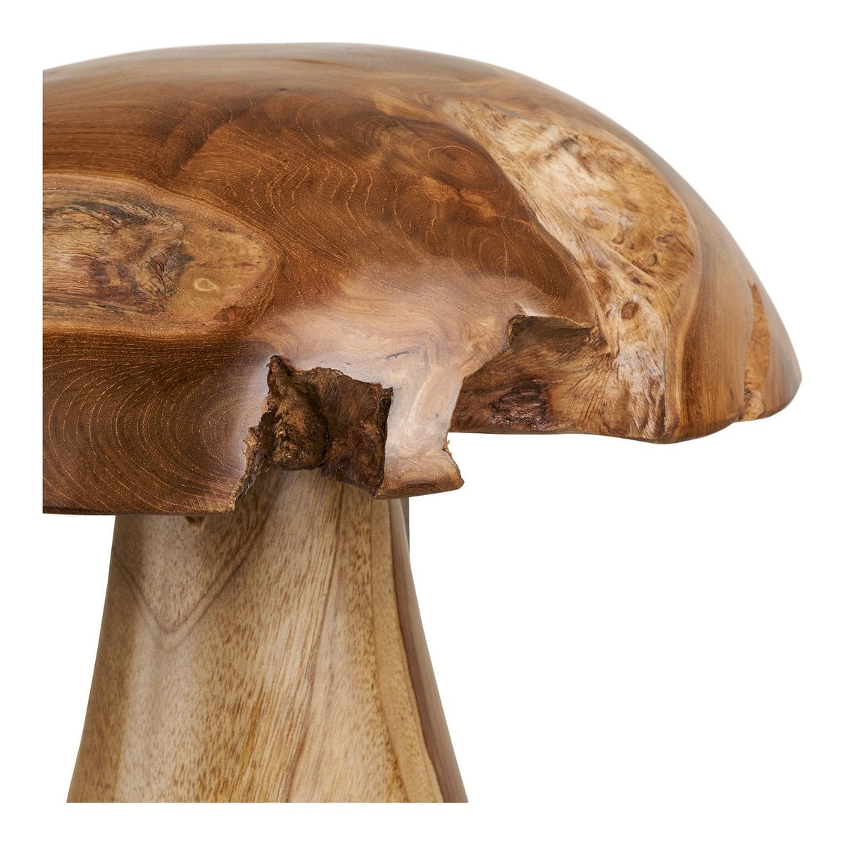 Champignons déco Kodi sur une étagère, ambiance naturelle