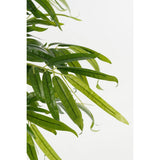 Plante artificielle Vert