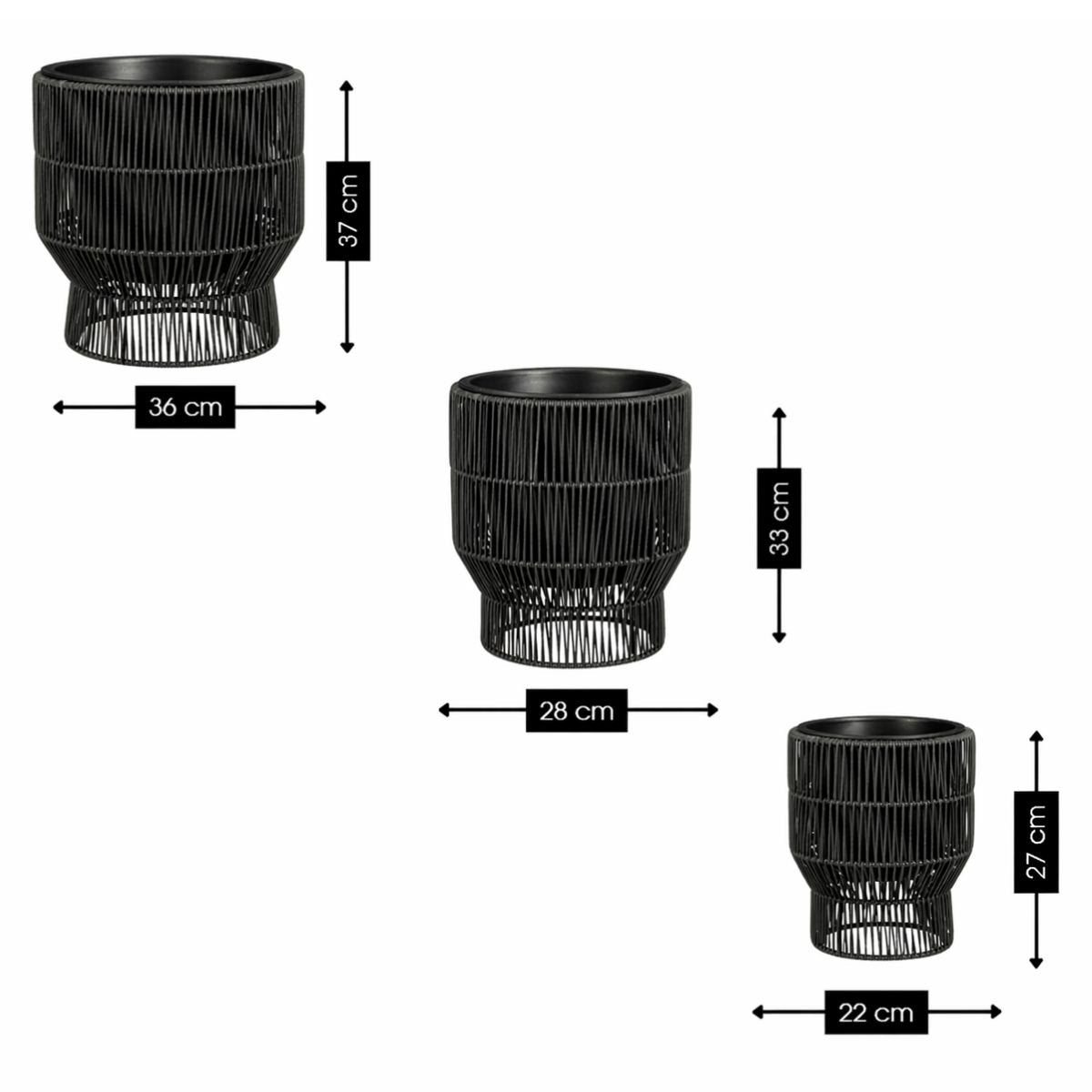 Image de diapositive