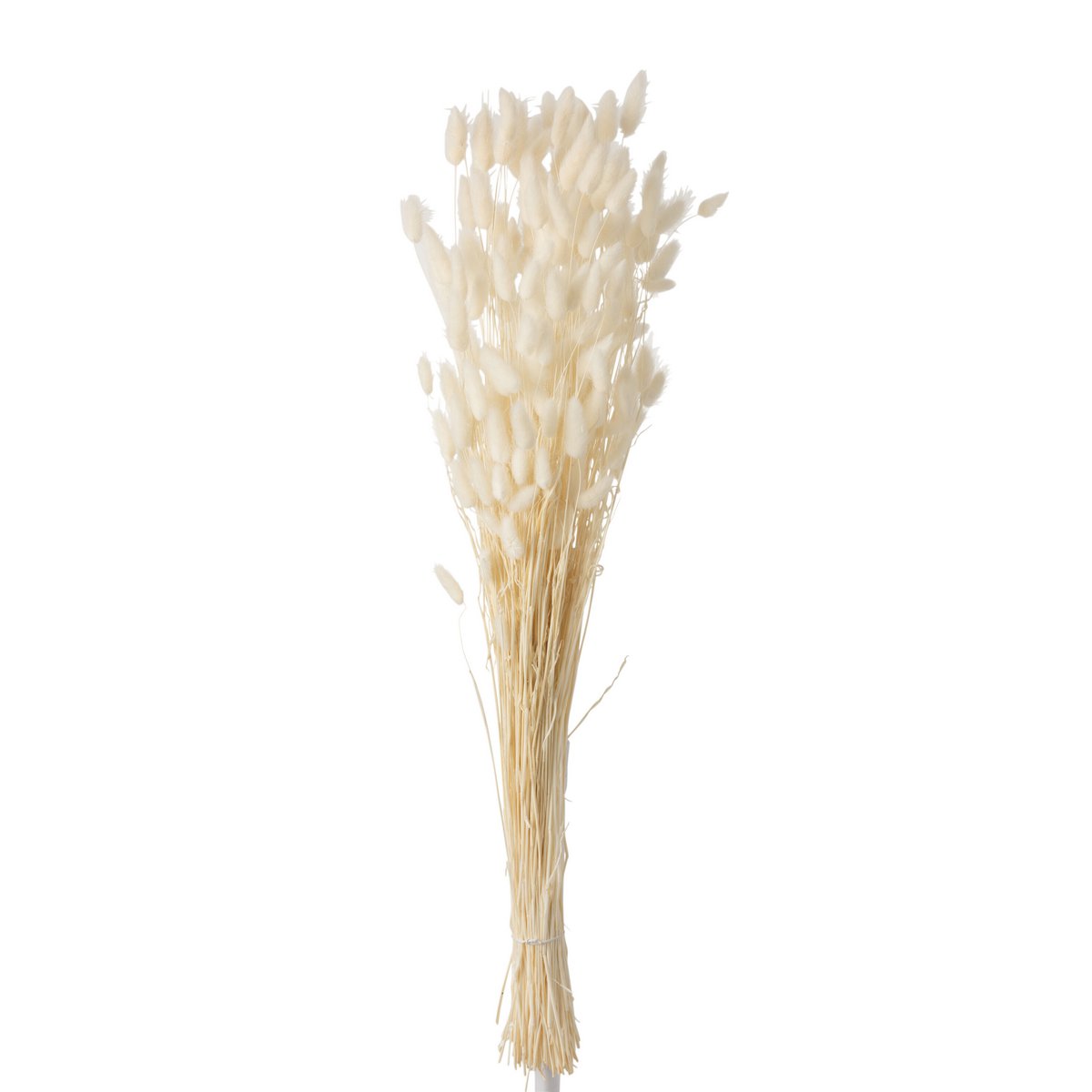 Bouquet Plume Hazentail dans un intérieur moderne