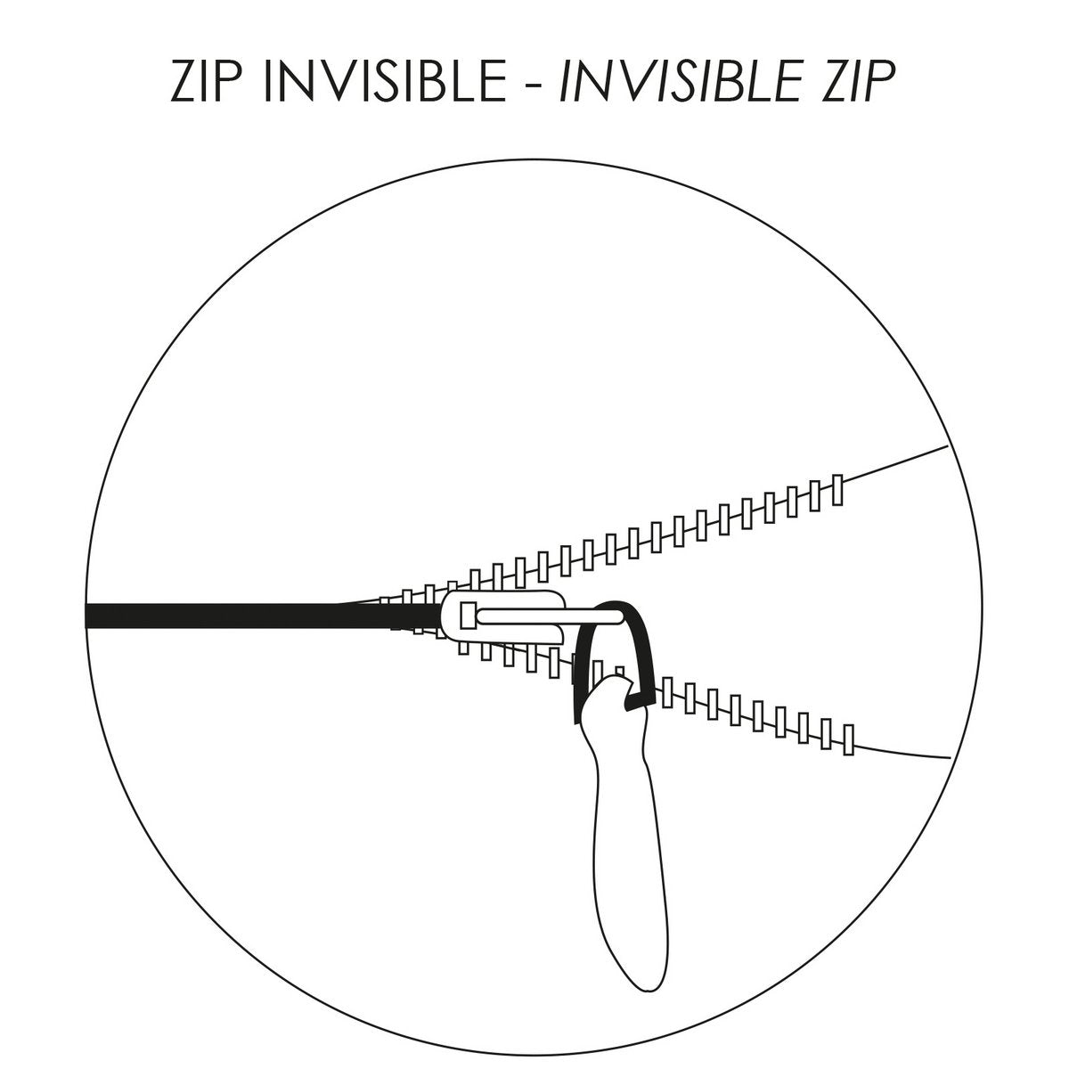 Image de diapositive