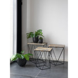 Pots Nova avec plantes, style contemporain