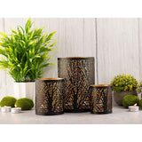 Windlich 3 Set Masterbox 12x 3-Parties Stand Stand Forest Tea Halder Around Black Gold