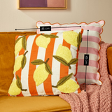 Coussin Multicolore