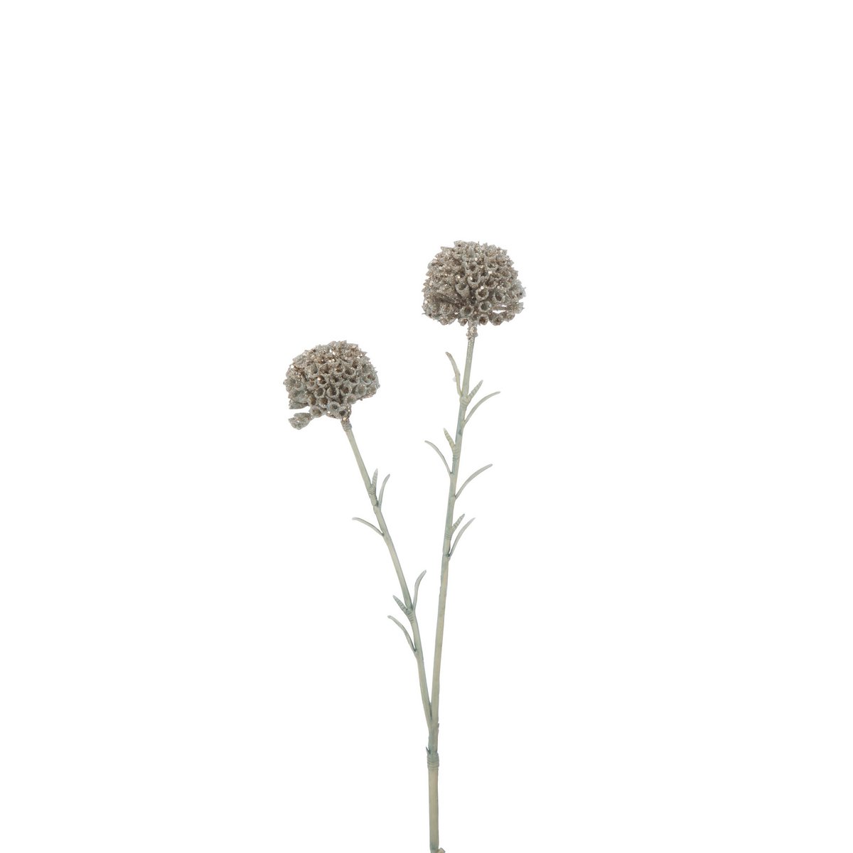 Détail de la Branche Souci 2 Fleurs J-Line, plante artificielle réaliste