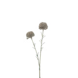 Détail de la Branche Souci 2 Fleurs J-Line, plante artificielle réaliste