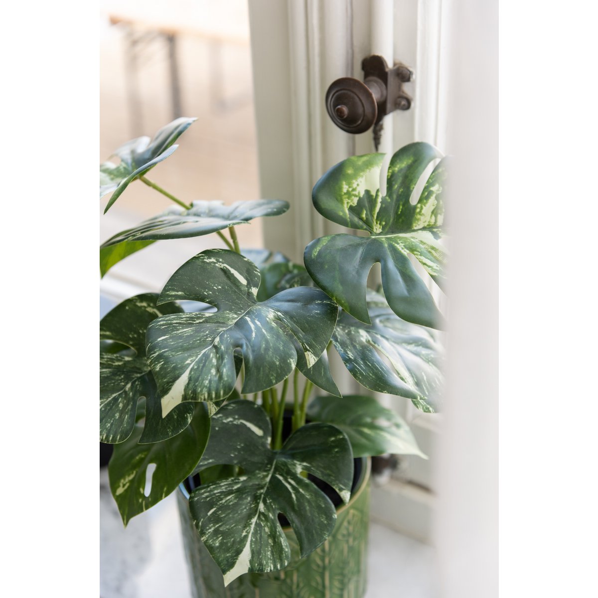 Plante Monstera J-Line en pot vert, décoration élégante pour intérieur.