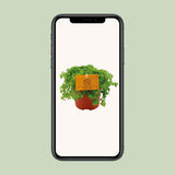 Plante artificielle Pilea en pot 10,5 cm vert et argenté