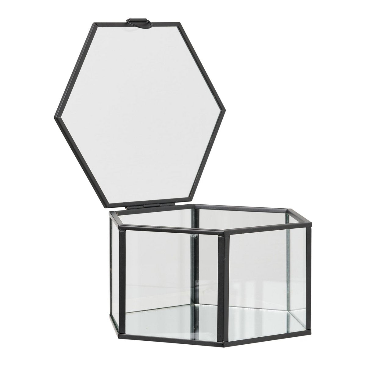 Détail de la Torpe Box montrant le verre transparent