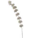 Détail de la branche décorative J-Line, mettant en valeur ses feuilles persistantes.