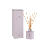 Bâtonnets parfumés J-Line en verre violet avec bouchon élégant