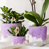 Lot de 3 cache-pots violets en résine Bloom 6 cm 9 cm 12 cm