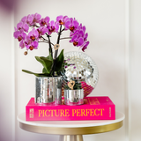 Lot de 2 orchidées Phalaenopsis en pot 9 cm