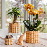 Maison Colibri | Support à plantes - Réhausse à plantes en métal blanc Ø12cm