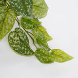 Plante artificielle suspendue Scindapsus Vert