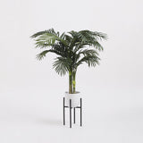 Support pour plantes Ascot Noir