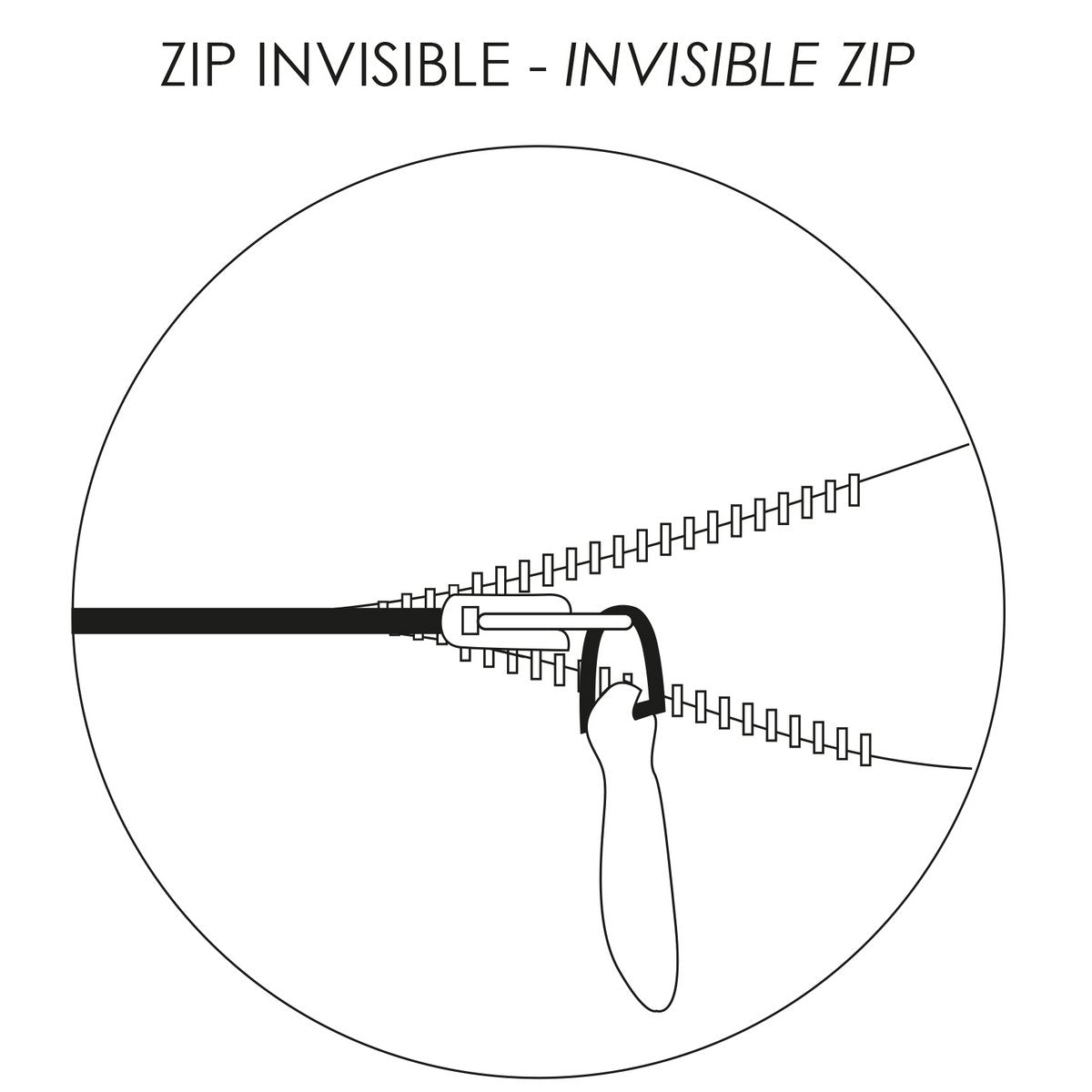 Image de diapositive