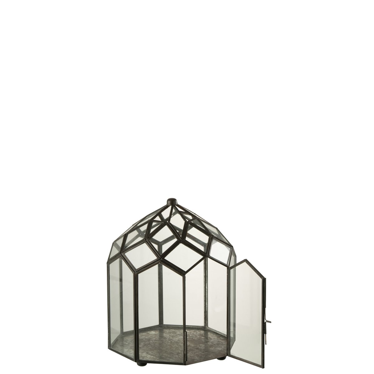 Terrarium J-Line noir en verre et métal, vue latérale