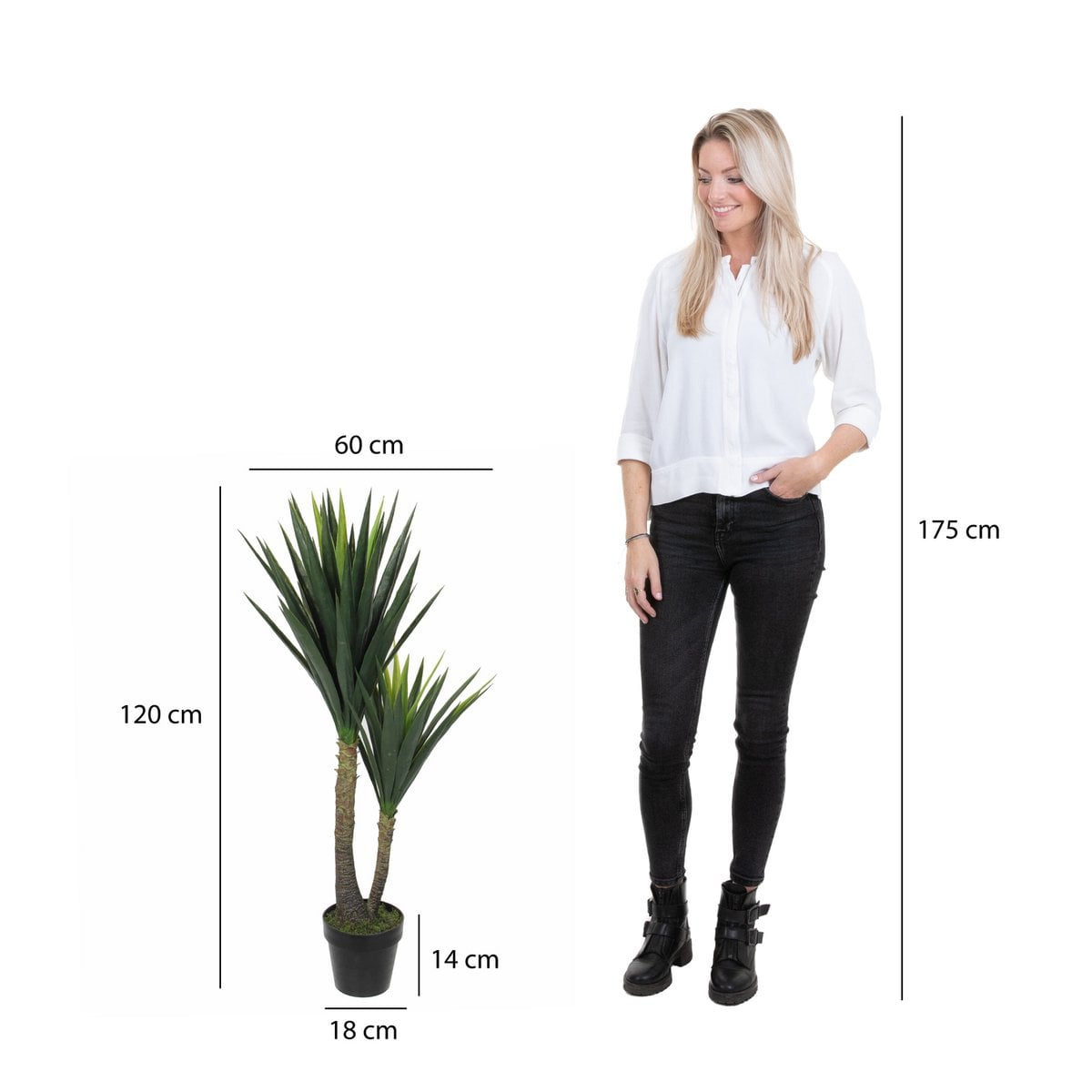Tronc marron du Yucca artificiel dans pot noir