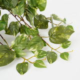 Plante suspendue artificielle Scindapsus suspendue Vert